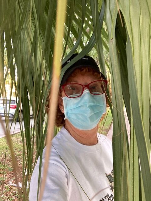 Unruly Palm